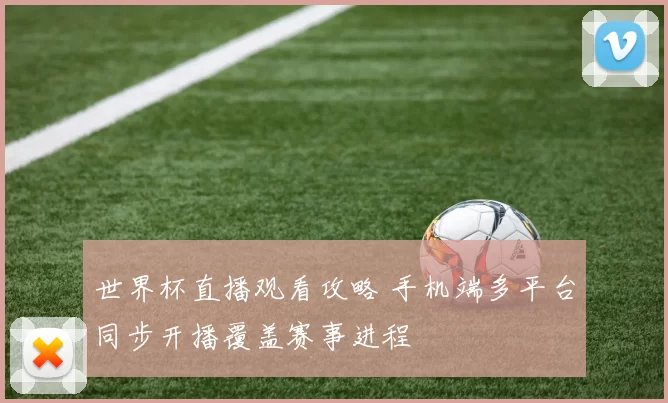 世界杯直播观看攻略 手机端多平台同步开播覆盖赛事进程